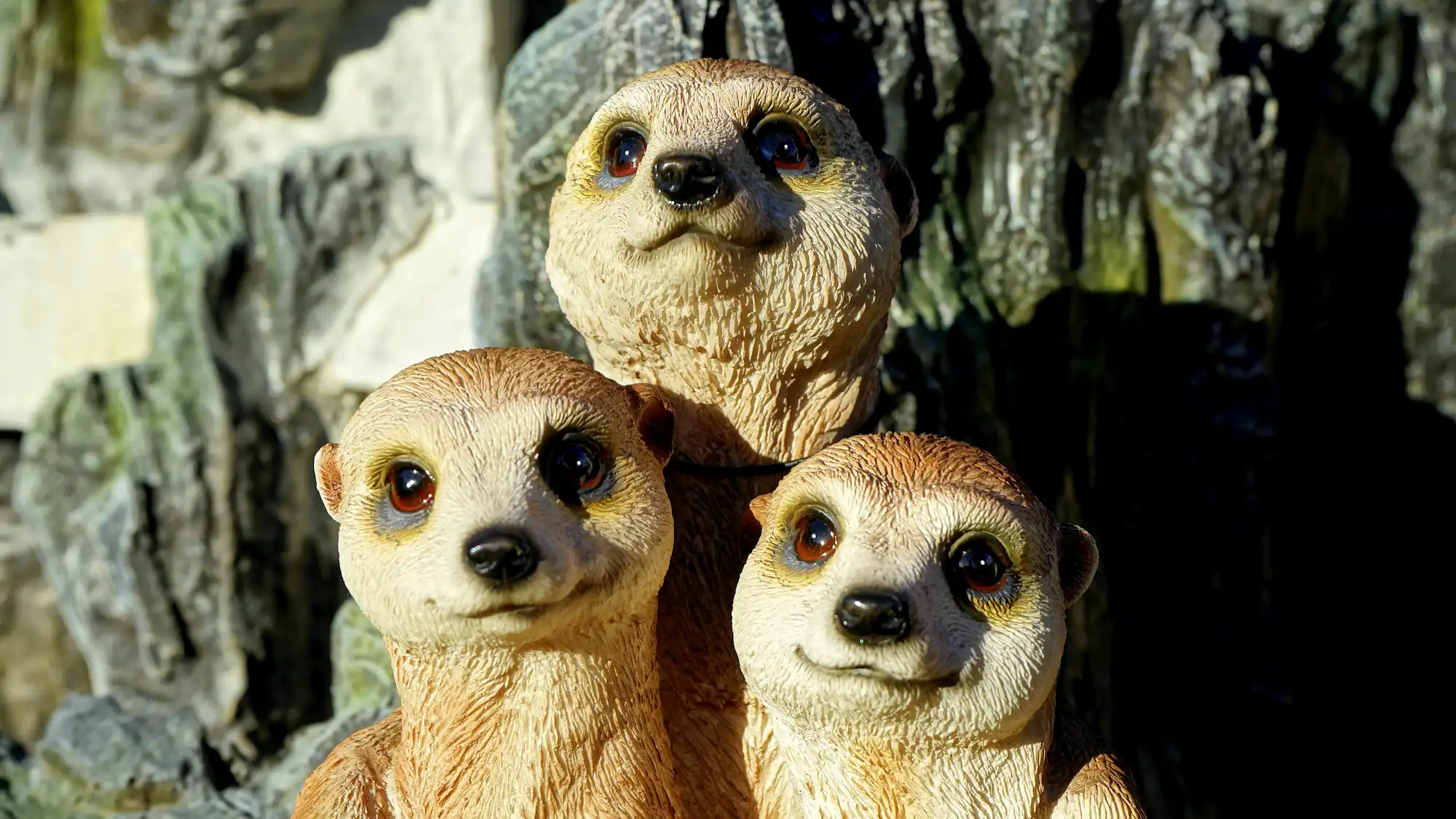 Meerkat figures