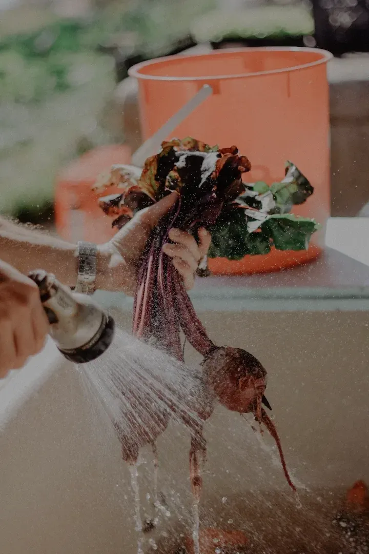 Photo of Beets