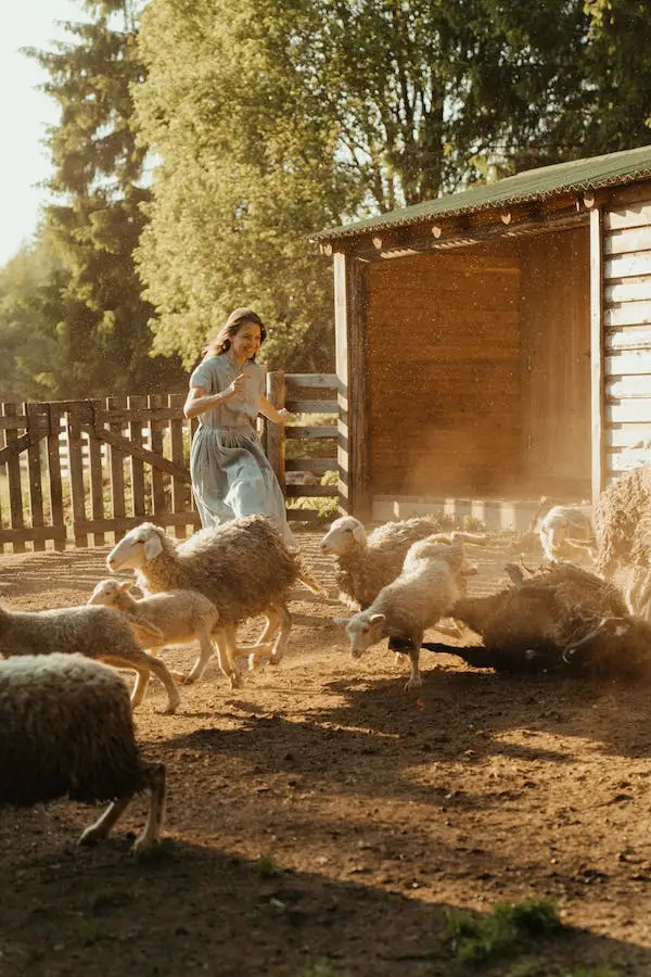 Photo of woman with sheeps