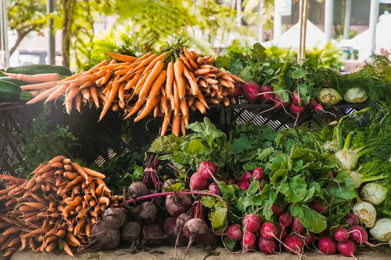 Photo of vegetables in the market