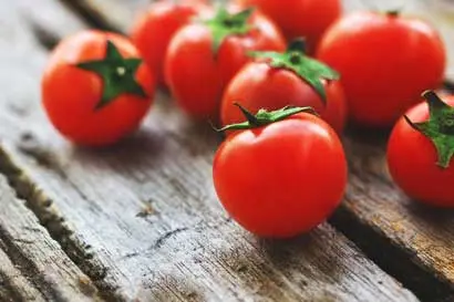 Tomatoes on a table
